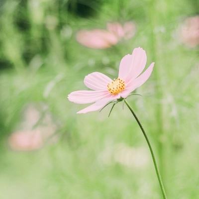 为交温暖答卷 春节保电“加码”