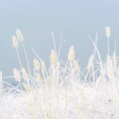 湖南炎陵第四届桃花节隆重开幕