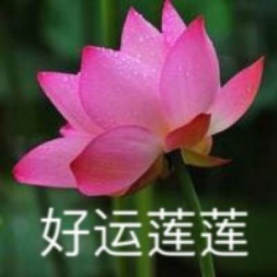 专职调解员黄春芳：善用“最优解”化干戈