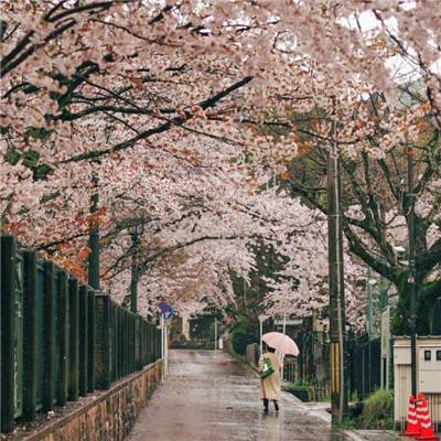 行至高梁 心纳平川